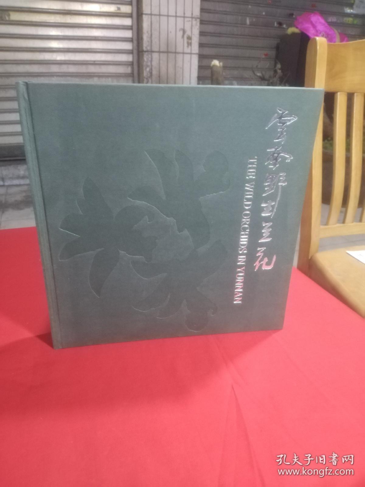 《云南野生兰花》