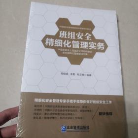 班组安全精细化管理实务