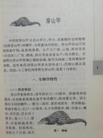 药用名贵动物养殖与利用