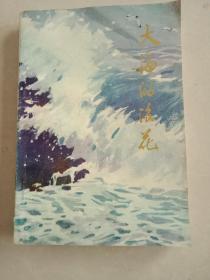 大海的浪花