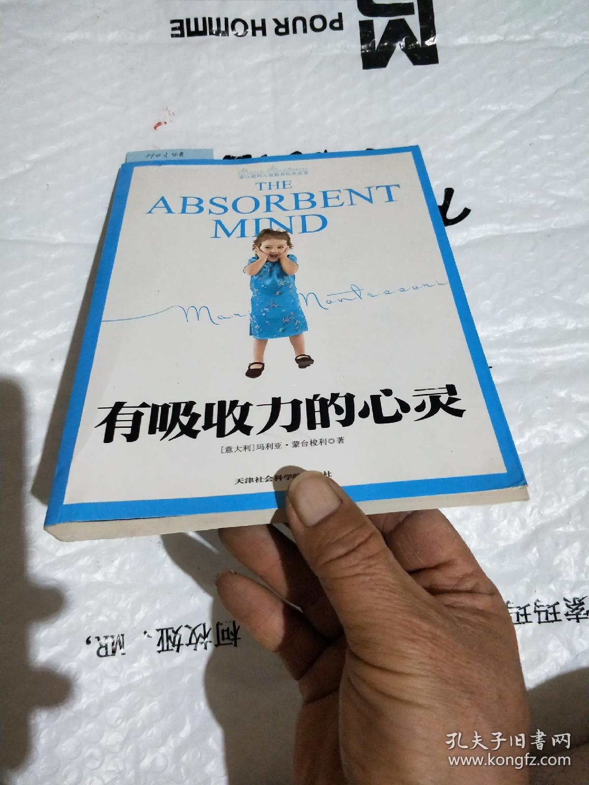 蒙台梭利儿童教育经典原著：有吸收力的心灵