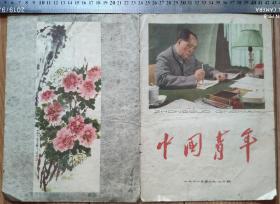 60年代书刊图片类------1961年第十九.二十期 "中国青年"封皮和封底