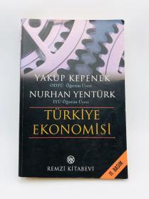 Türkiye ekonomisi (Büyük fikir kitapları dizisi) 土耳其文原版《土耳其的经济》（好主意丛书）