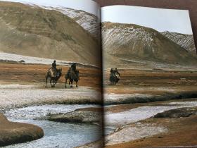 Silk Road: Monks, Warriors & Merchants on the Silk Road （英语）