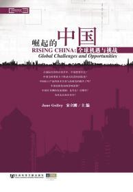 崛起的中国：全球机遇与挑战                        “中国经济前沿”丛书                    [澳]戈雷(Jane Golley) 宋立刚 主编