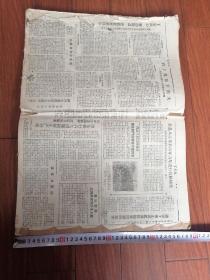 宣恩报1958年8月一12月（有76张）每隔一天1份 有2份被裁剪了一部分其它完好