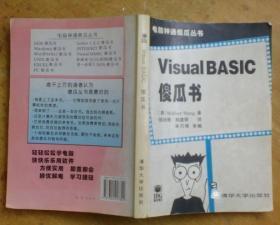 电脑神通傻瓜丛书：Visual BASIC傻瓜书