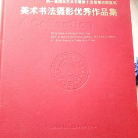 第一届湖北艺术节暨第十五届楚天群星奖美术书法摄
影优秀作品集