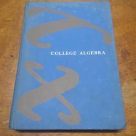 COLLEGE ALGEBRA（大学代数英文版）