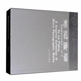 冰花碎语：微距摄影艺术探索