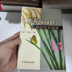 水稻病虫草害防治原色生态图谱