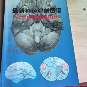 最新神经解剖图谱