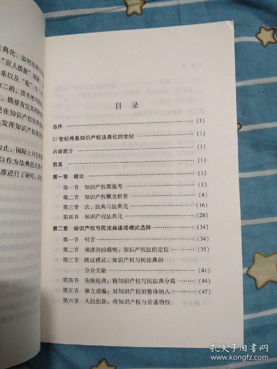 中国知识产权法典化研究