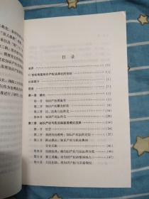 中国知识产权法典化研究