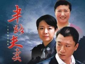 半路夫妻 （2DVD）（孙红雷、陈小艺、张嘉译、张少华、高秀敏、程愫、金莉莉、林园主演）