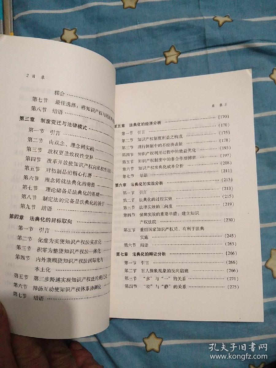 中国知识产权法典化研究