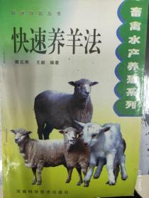 快速养羊法