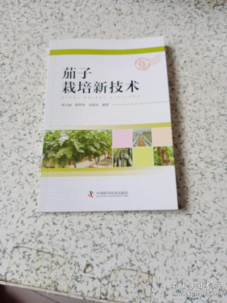 茄子栽培新技术