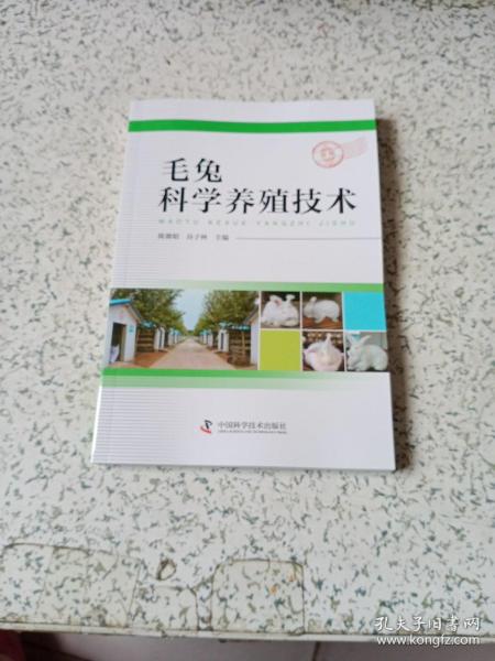 毛兔科学养殖技术