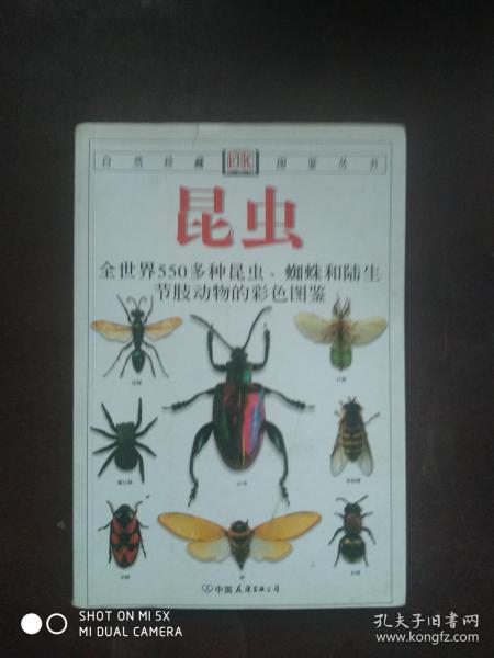 昆虫：全世界550多种昆虫、蜘蛛和陆生节肢动物的彩色图鉴