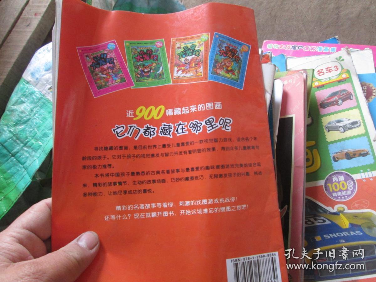 名著图画捉迷藏：三国大发现