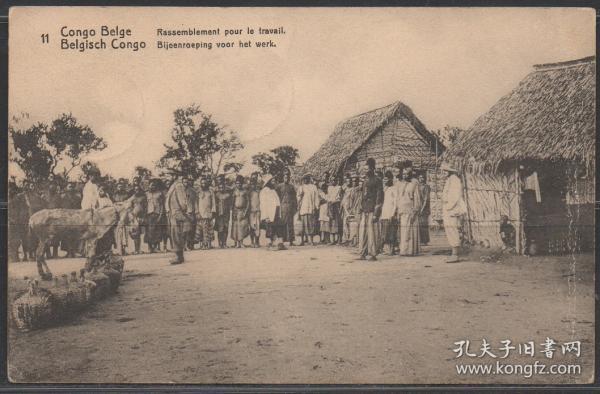 比属刚果邮资明信片，1913年邮寄至比利时,集市上出售驴子