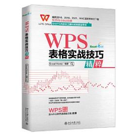 WPS表格实战技巧精粹9787301318652