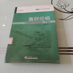 集群经略：产业集群可持续发展的一个例证