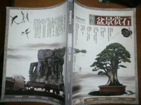 南京盆景赏石（2010.9）（创刊号）