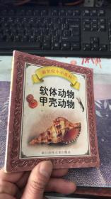 新世纪小小百科：软体动物甲壳动物