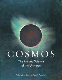 Cosmos  宇宙:宇宙的艺术和科学 英文原版