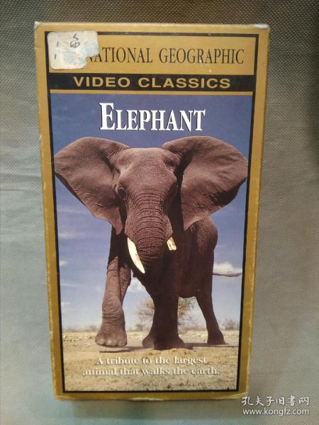 美国国家地理频道纪录片录像带：ELEPHANT（大象）