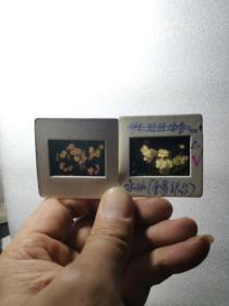 90年代花卉幻灯片：桂花荷花杜鹃花卉，反转底片33张