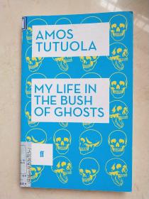 MY LIFE IN THE BUSH OF GHOSTS