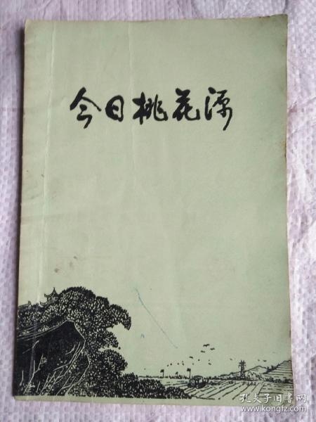 今日桃花源 有毛主席语录