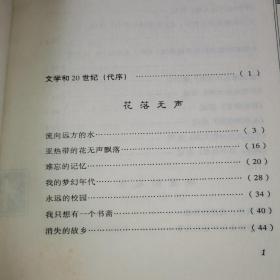流向远方的水
