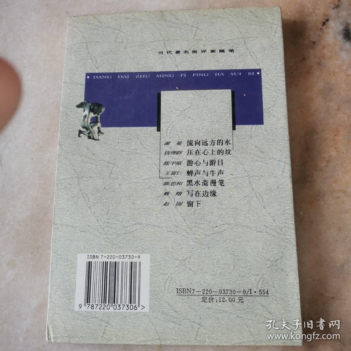 流向远方的水