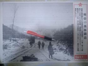 1941年，日军侵华期间拍摄的黑龙江牡丹江横道河子铁路沿线，林场伐木，