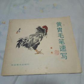 黄胄毛笔速写