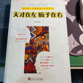 天才在左 疯子在右：国内第一本精神病人访谈手记