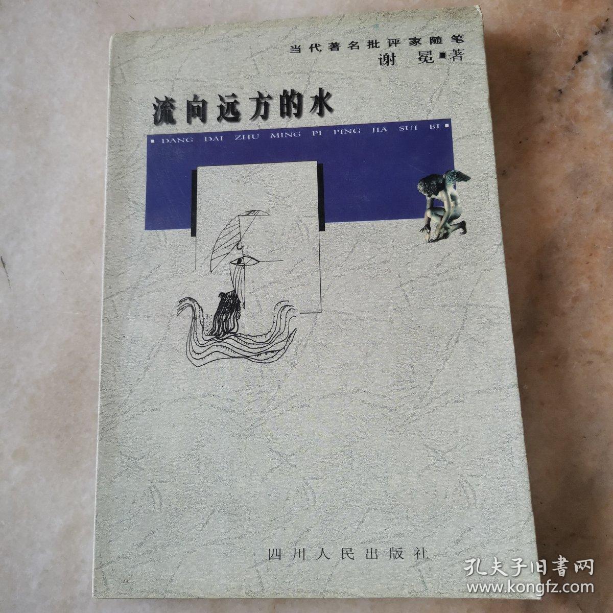流向远方的水