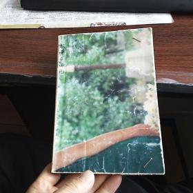 傲慢与偏见