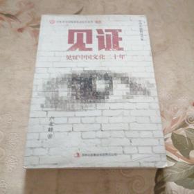 中国名家精品书系：见证