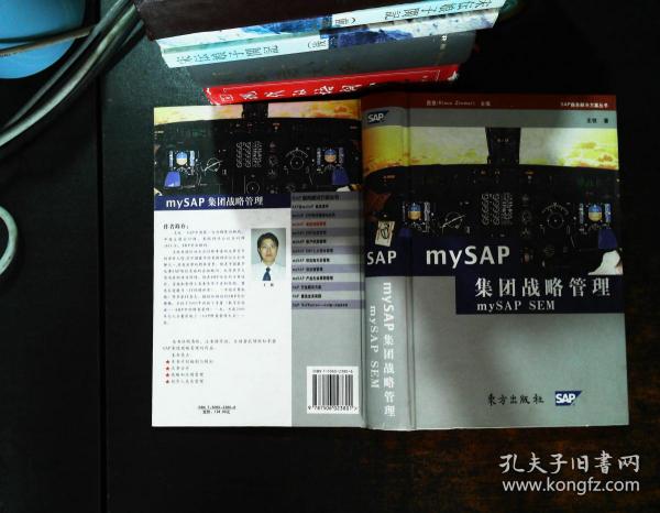 mySAP集团战略管理