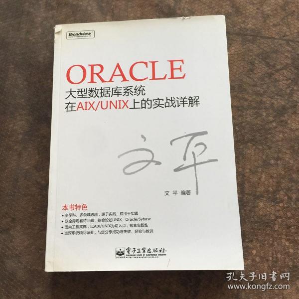 Oracle大型数据库系统在AIX/UNIX上的实战详解