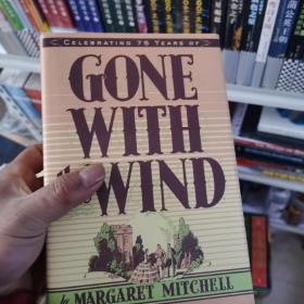 Gone with the Wind 乱世佳人