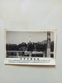 北京北海白塔早期老照片
