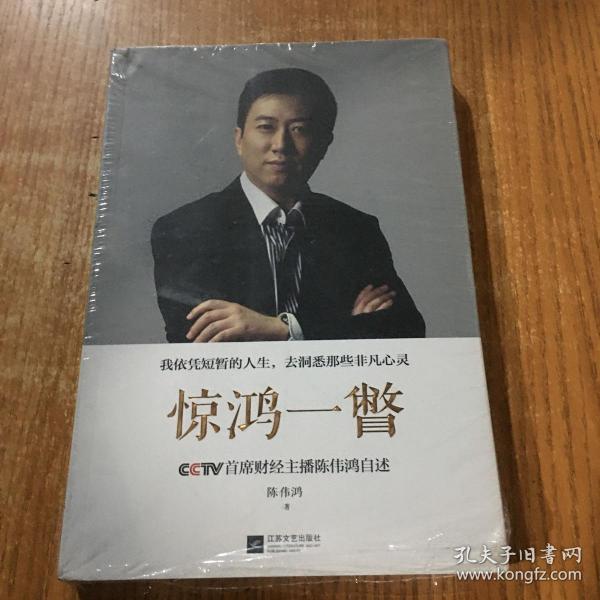 惊鸿一瞥：CCTV首席财经主播陈伟鸿自述