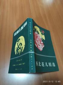 西北花儿精选