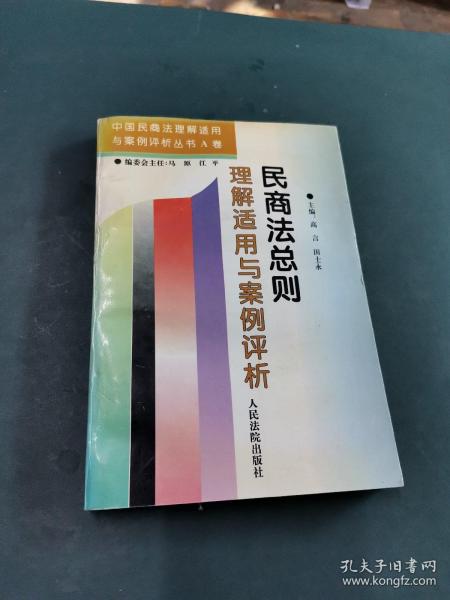 民商法总则理解适用与案例评析